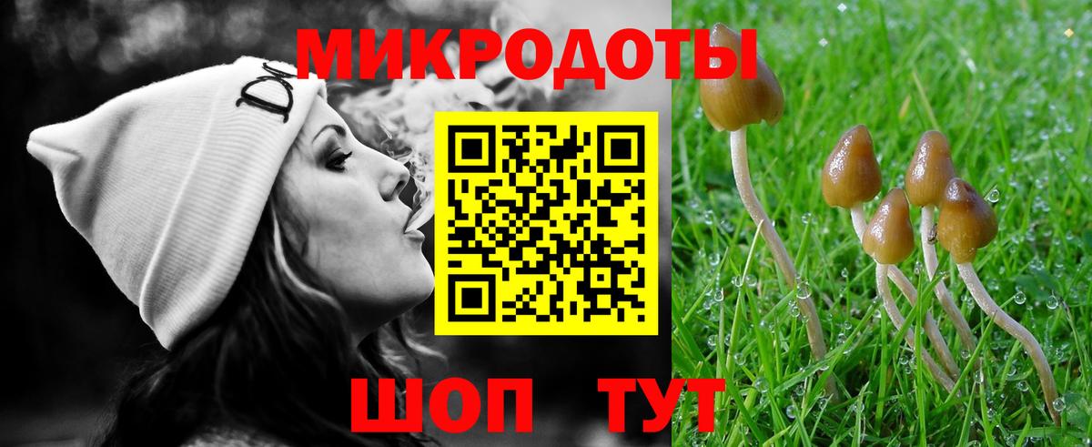 Галлюциногенные грибы Cubensis Минусинск