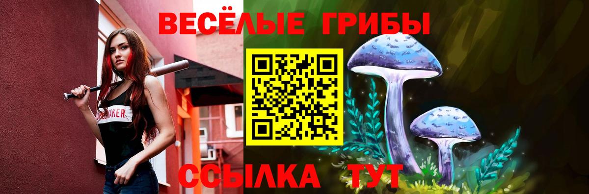 Псилоцибиновые грибы прущие грибы  Вход с VPN  Галлюциногенные грибы мухоморы  Минусинск 